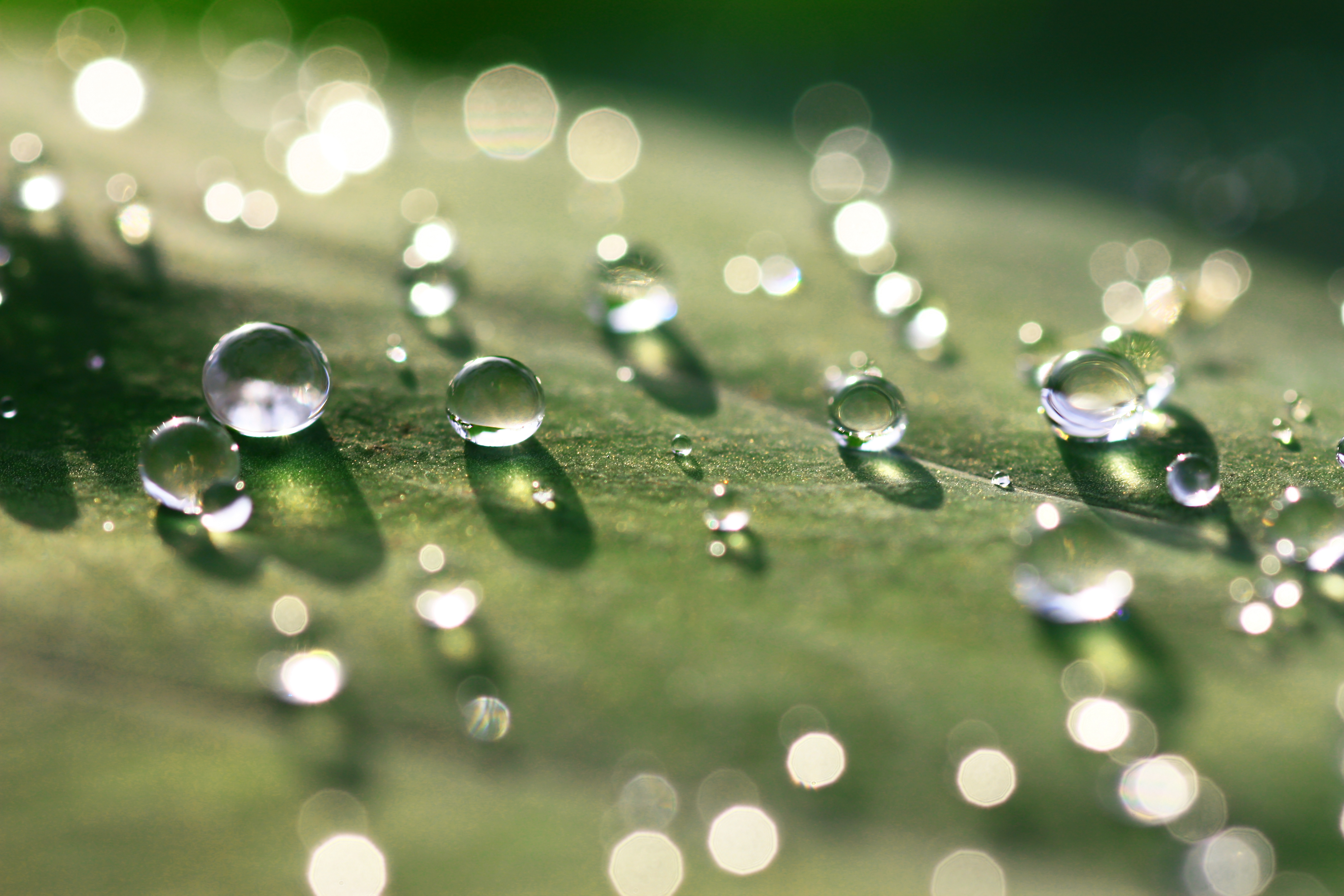 hydrophobic sand in water